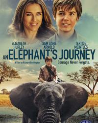 Большое путешествие слона 